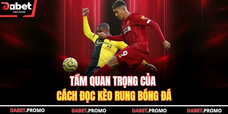 Tầm quan trọng của cách đọc kèo rung bóng đá