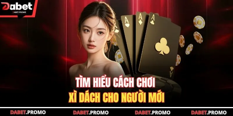 Tìm hiểu cách chơi xì dách cho người mới